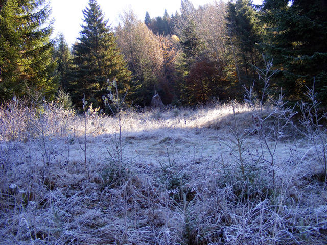 DSCF0041