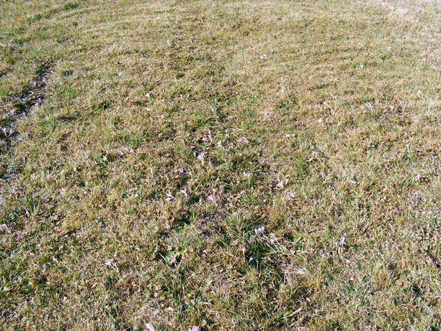 DSCF0101