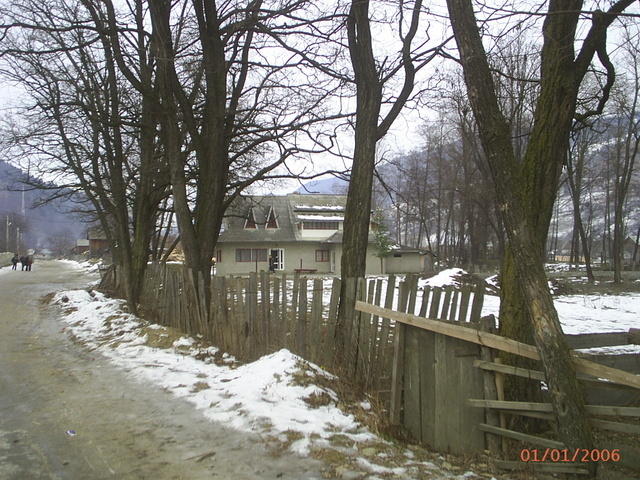 PIC 0263