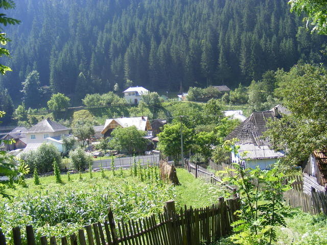 DSCF0154.JPG