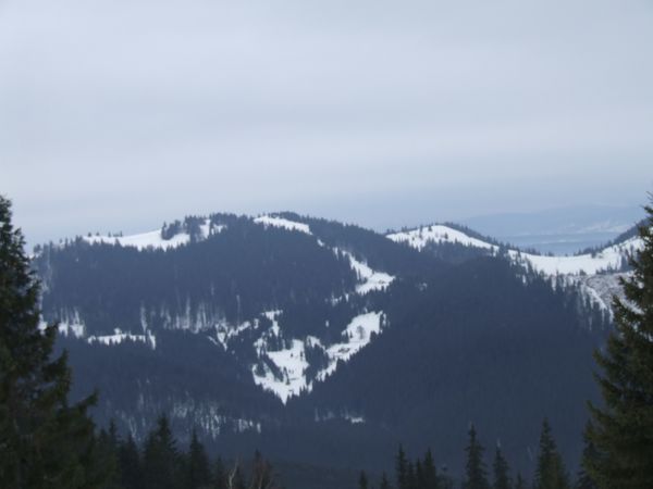 DSCF1216.JPG
