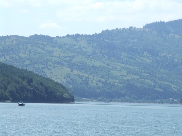 vedere lac - Petrica Nanca - Viaduct Poiana Teiului