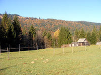 DSCF0028