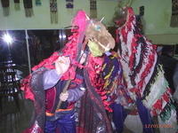 PIC 0011