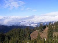 2009_02090244.JPG