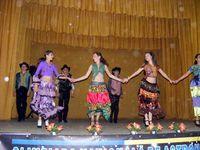 Din dansurile minoritatilor nationale