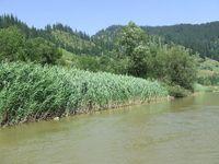 DSCF2457.JPG