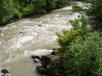 Tarcau River - Raul Tarcau - Neamt - Romania