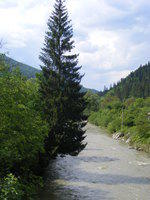 Poza la Cazaci - Tarcau river - raul Tarcau